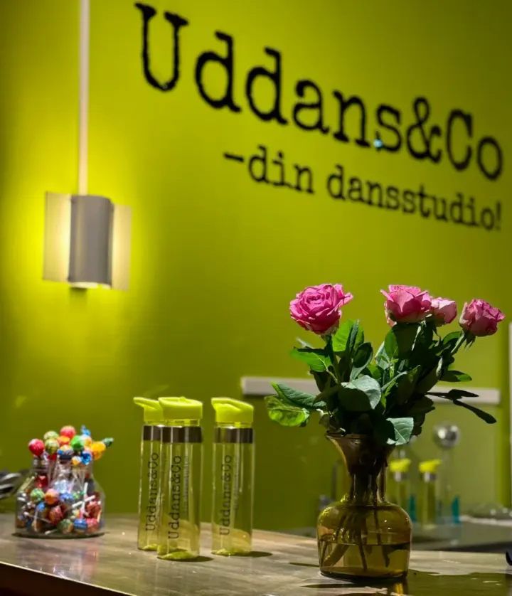Uddans & Co Dansstudio AB — dance-studio i Södertull, Gävle