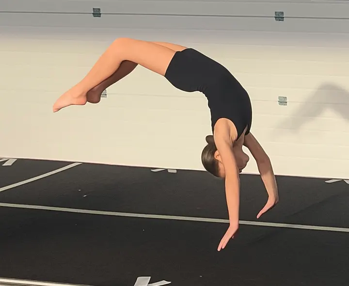 The Gymnastics And Trampoline Network — gymnastics-studio in Downpatrick — 5