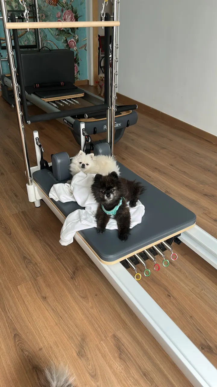 Destino Estudio Pilates — pilates-studio en Madrid — 5