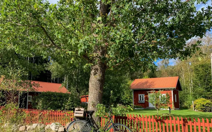 Naturlig läkning - Anna i Sjuhult — Fitness Studio i Sjuhult, Älmhult