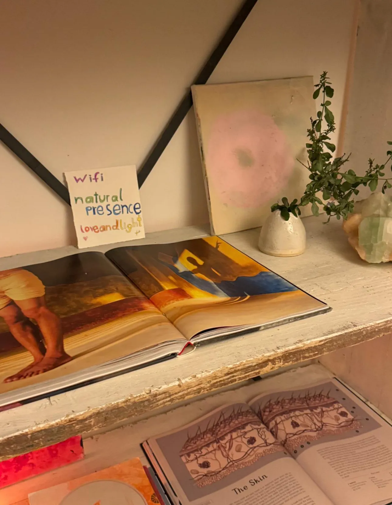 natural presence — yoga-studio en Santa Gertrudis de Fruitera, Santa Gertrudis de Fruitera — 2