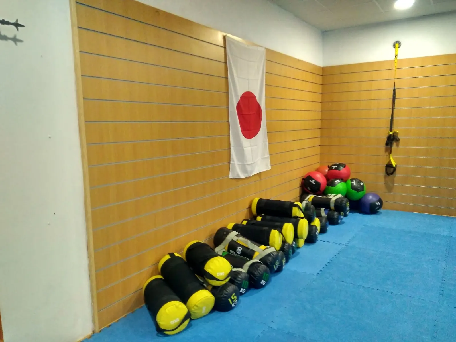Dojo Mollerussa DYMK — artes marciales-studio en Mollerussa — 3