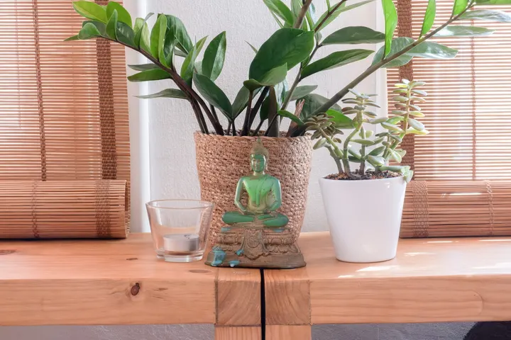 Mandiram Escuela de Yoga Poblenou — yoga-studio en Sant Martí, Barcelona — 3