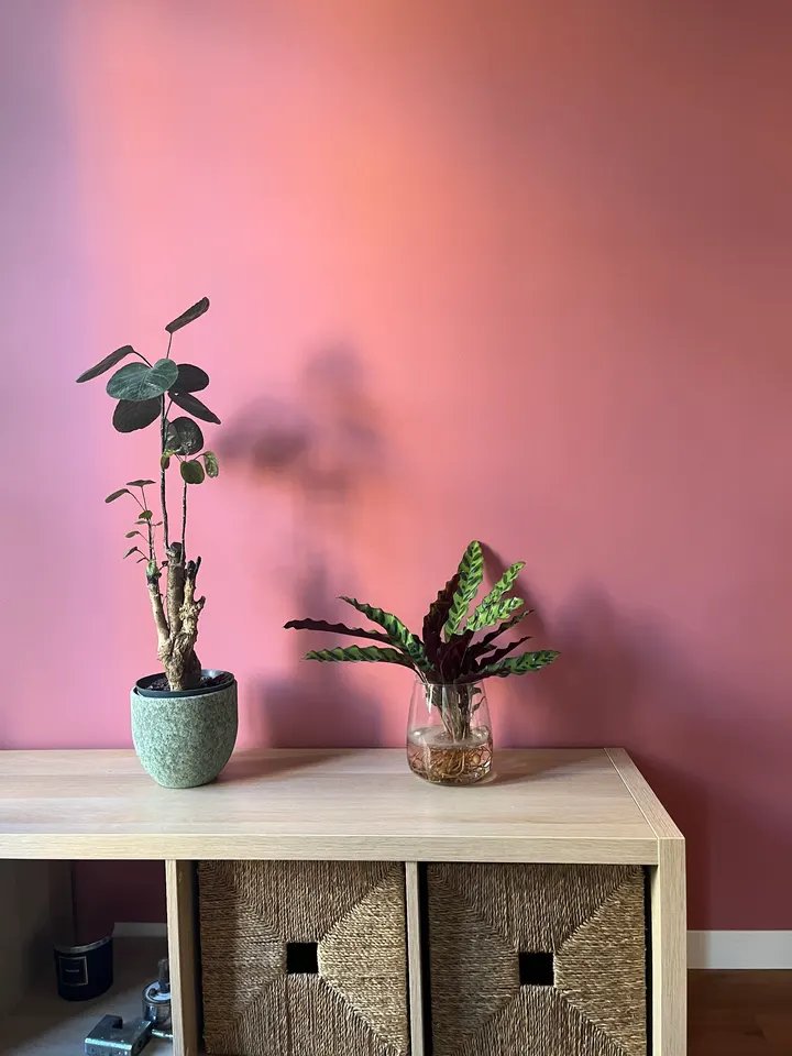 Matahari Yoga Space Piceno — Yoga a Pigneto, Roma