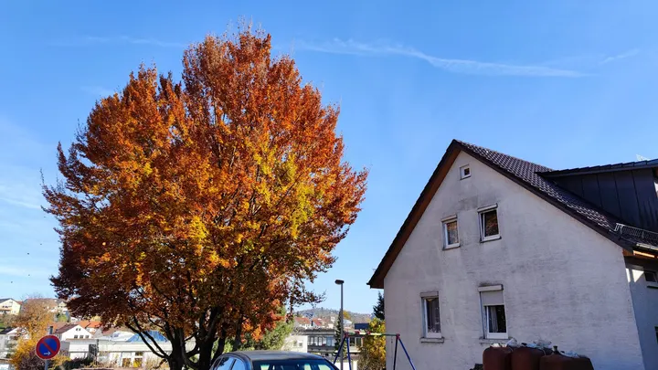 Winnenden — Fitnessstudio in Wohnpark Arkadien, Winnenden