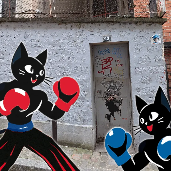 Boxe Française Savate Montmartre (SMBF) — arts martiaux-studio à Paris 18e Arrondissement, Paris — 3