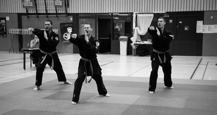 Shaolin Kempo Kai — vechtsport-studio in Goverwelle, Gouda — 2