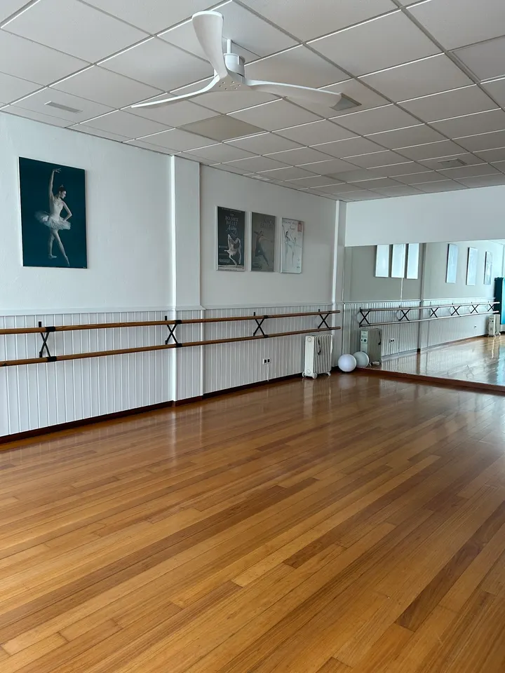 Centro De Danza Y Studio Pilates — pilates-studio en Puente San Miguel — 2