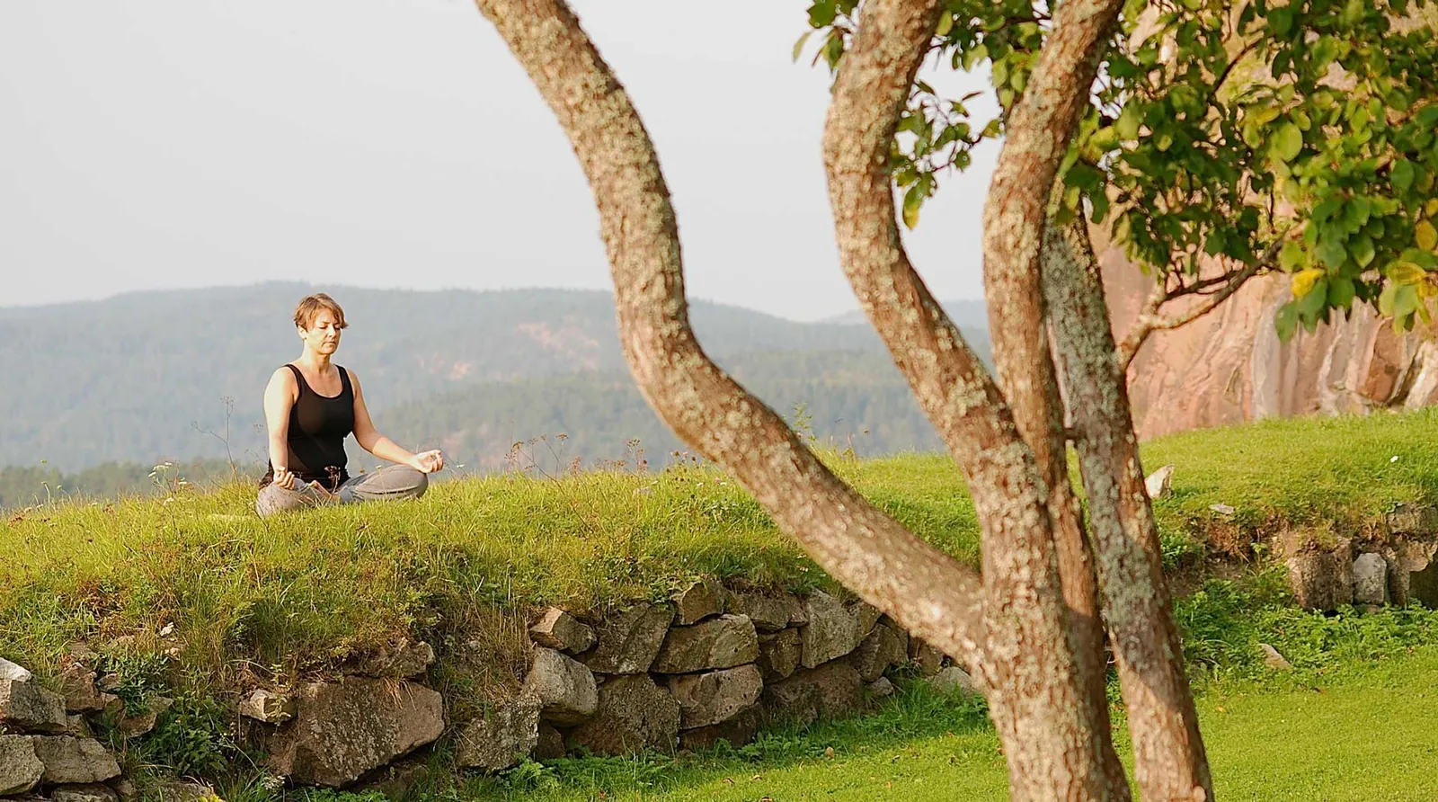 Lotusfrøet yoga og velvære — yoga-studio i Skjeberg — bild 3