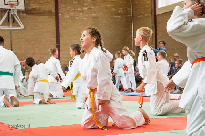 Judoschool Zwart — vechtsport-studio in Loosdorp, Leerdam — 2