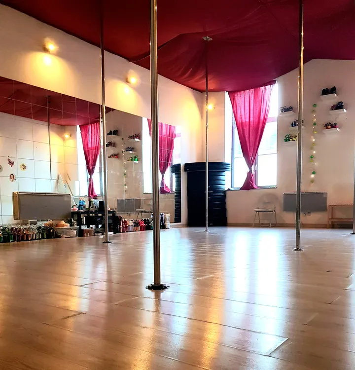 Luha's Pole Dance — Danse à Tourcoing