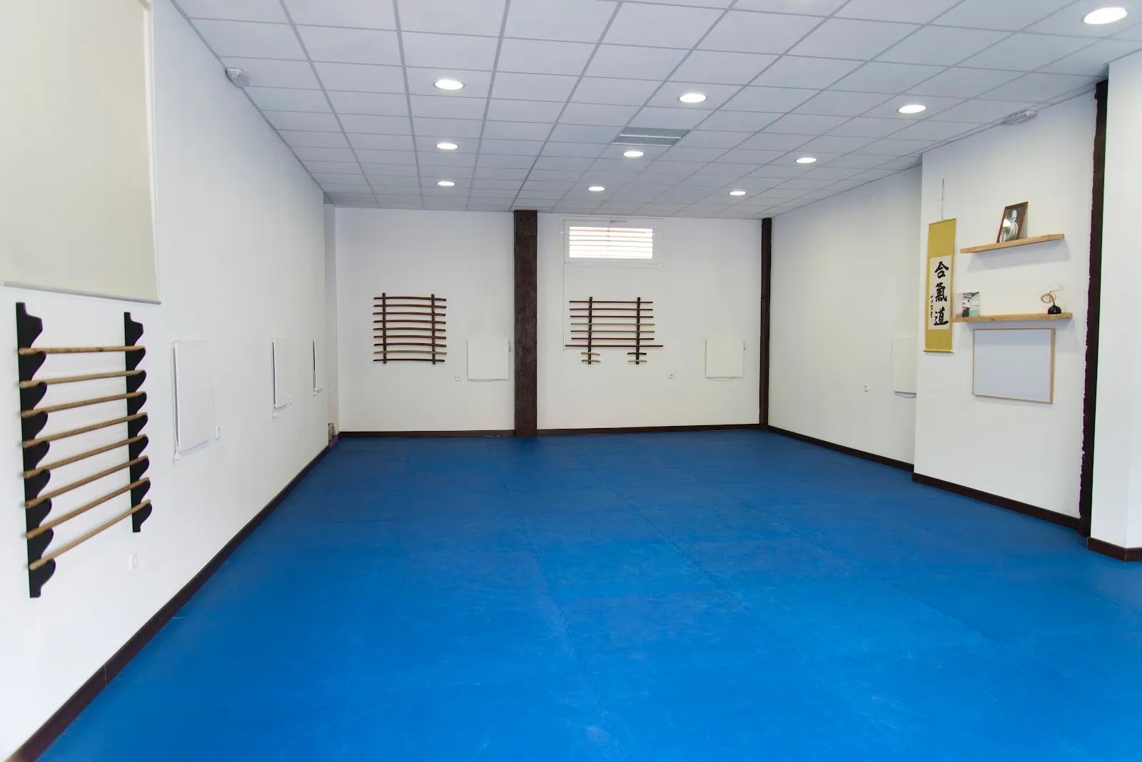 Gimnasio, Artes Marciales Shindokan-Aikido-Tai Chi-Defensa Personal-Yoga-Pi — yoga-studio en Sexmo de Casarrubios, Navalcarnero — 3