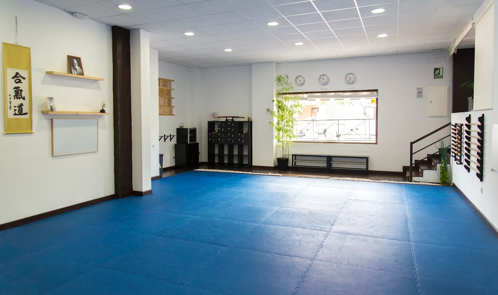 Gimnasio, Artes Marciales Shindokan-Aikido-Tai Chi-Defensa Personal-Yoga-Pi — yoga-studio en Navalcarnero — 5