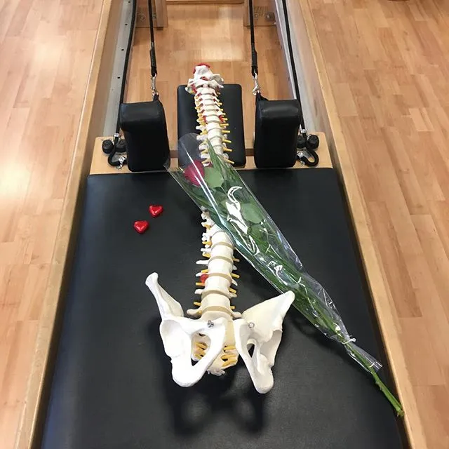 Mundo Pilates — pilates-studio en El Cubo, Logroño — 2