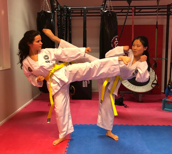Taekwon-Do IN NAE DO KWAN — vechtsport-studio in Maarssenbroek, Maarssen — 3