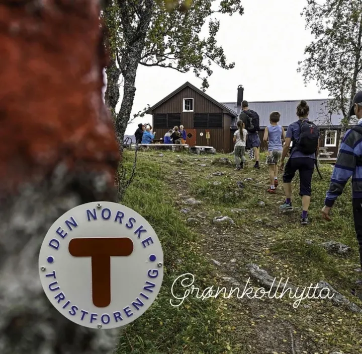 Yoginis Yogastudio — yoga-studio i Harstad — 4