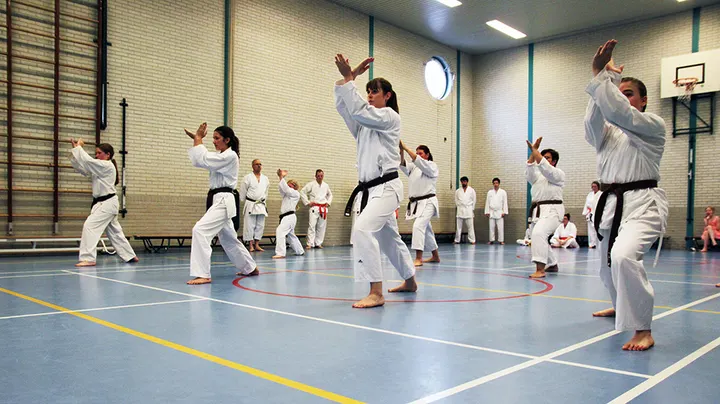 Kishido Karate Leiden — vechtsport-studio in Dobbewijk, Leiden — 3