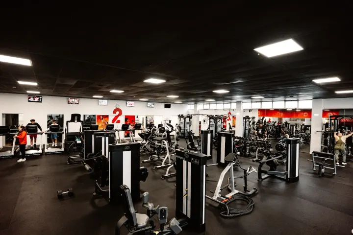 LFitness Albergaria Health Club — ginásio-studio em Albergaria-a-Velha e Valmaior, Albergaria-a-Velha — 2