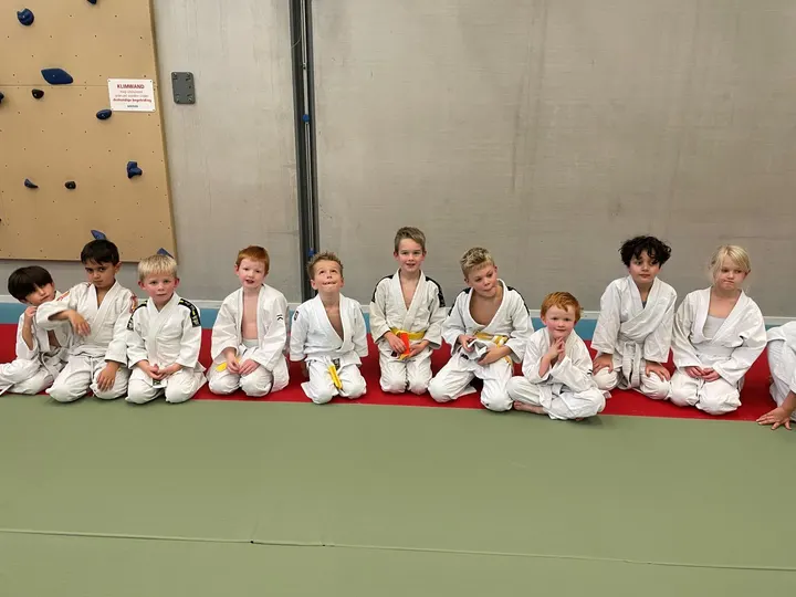 Budoschool Kansei-Goshin-Do — vechtsport-studio in Bomenwijk, Heerhugowaard — 3