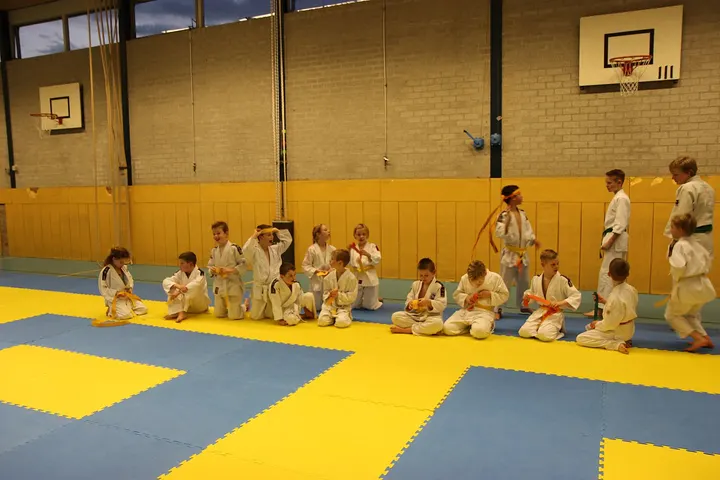 Budoschool Kansei-Goshin-Do — vechtsport-studio in Heerhugowaard — 6