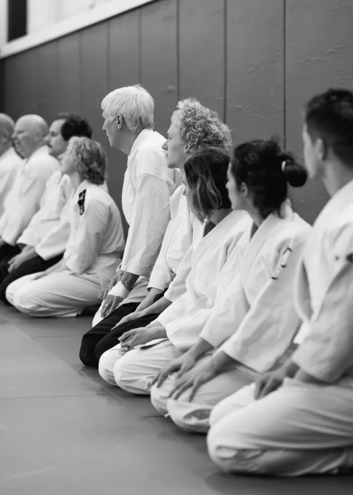 Aikido Aikikai Den Helder — vechtsport-studio in Geleerdenbuurt, Den Helder — 2