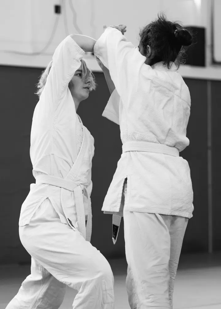 Aikido Aikikai Den Helder — vechtsport-studio in Geleerdenbuurt, Den Helder — 3