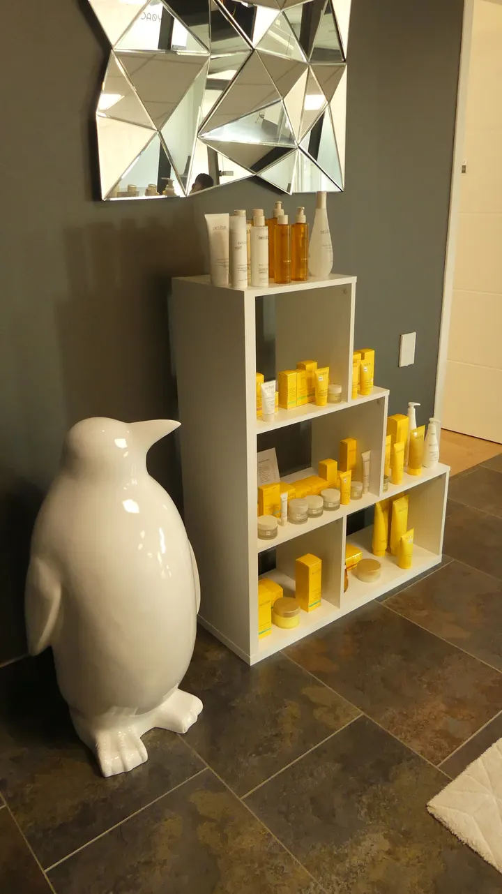 Cryo activ — récupération-studio à Belle-Beille, Angers — 2