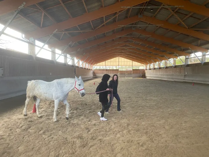 Track & Fit — Coaching personnel à Lyon 2e Arrondissement, Lyon
