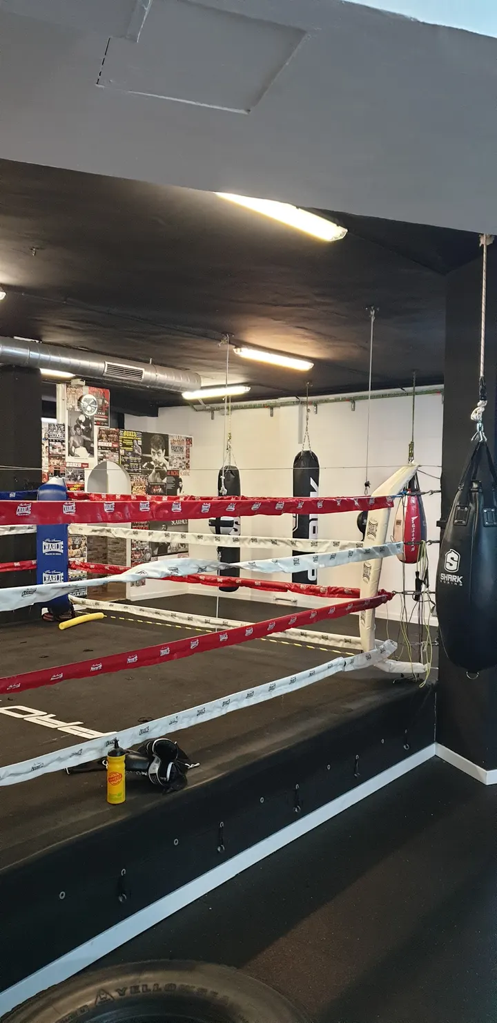 PRO SPORT PALMA — boxeo-studio en Palma — 3