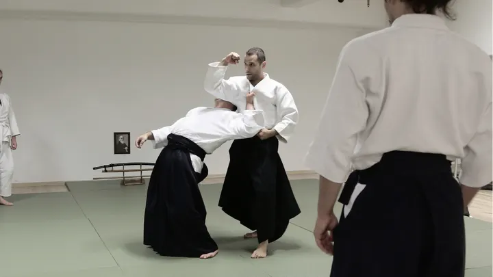 Zenshin Aikido Amsterdam — Vechtsport in Oost, Amsterdam