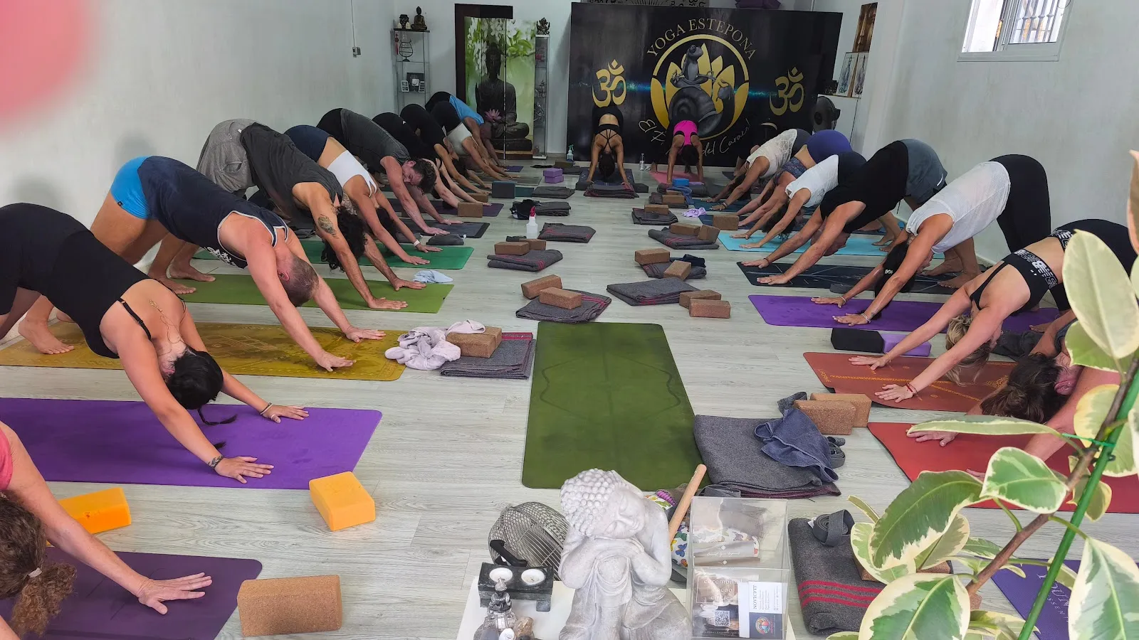 Hadali Yoga — yoga-studio en Balcones del Mar, Estepona — 3
