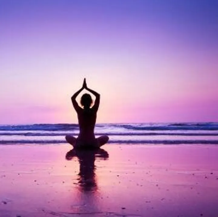 Windebloem — Yoga in Heer, Maastricht