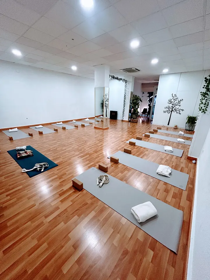 ORIGEN HOLÍSTICA — Yoga en Franciscanos, Albacete
