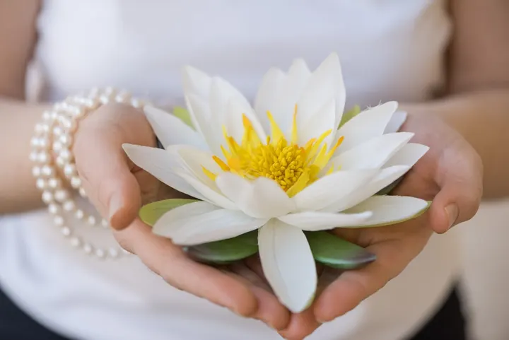 Yoga Studio Ananda — Yoga in Darmstadt-Mitte, Darmstadt