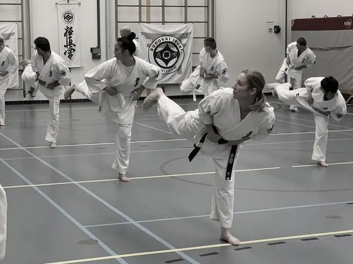 budokai-ibuki — Vechtsport in Nieuwland, Schiedam