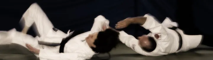 Judo-Jiu-Jitsu-Vereinigung Hannover — kampfsport-studio in Hannover — 3