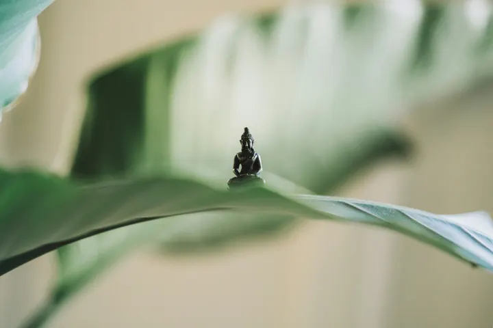 Soul Fire Hot Yoga — hot yoga-studio in Moscar Cottages, Sheffield — 3