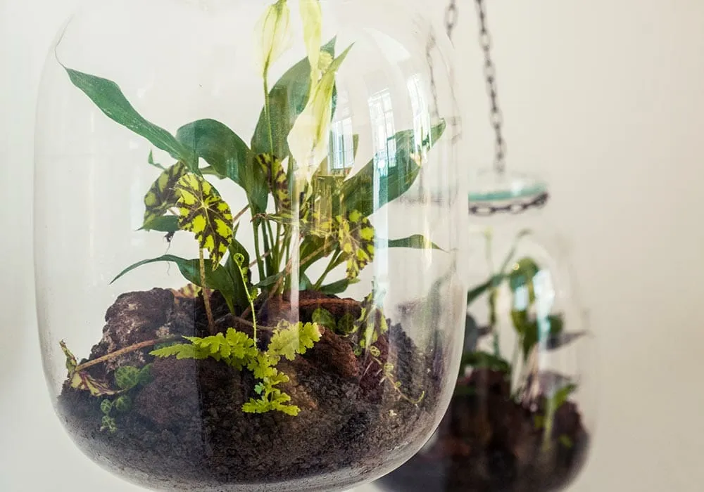 Spirit Yoga Teacher Training — yoga-studio i Berlin — 3
