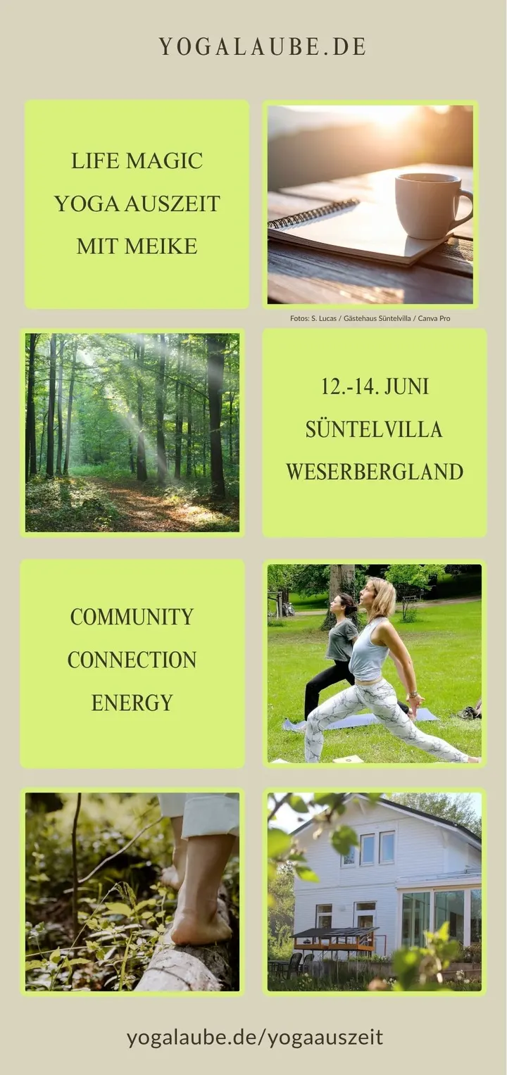 Yoga Laube — yoga-studio in Mitte, Braunschweig — 2