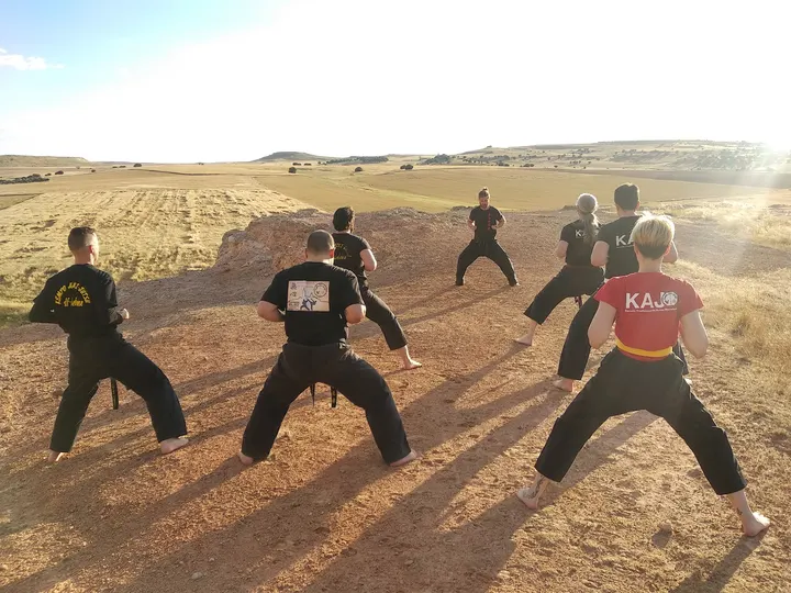 Kempo Aiki-jutsu ITAMI DOJO — artes marciales-studio en Puente Ladrillo, Salamanca — 2