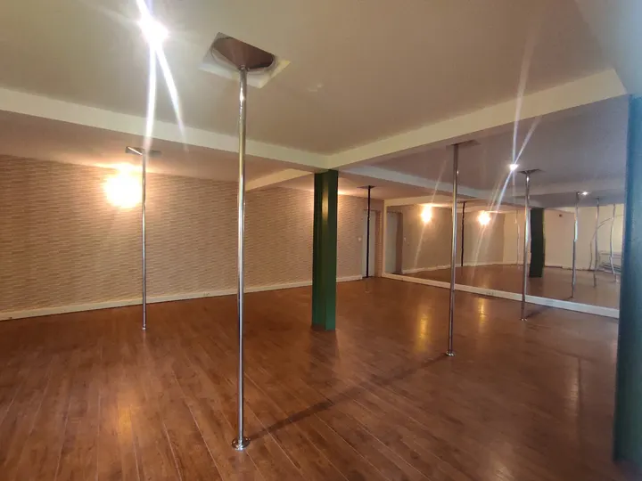 Stargazer Make It Shine — pole fitness-studio à Dijon — 3