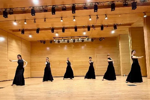 ALMUDENA PANIAGUA FLAMENCO — dans-studio i Aravaca, Madrid — bild 3