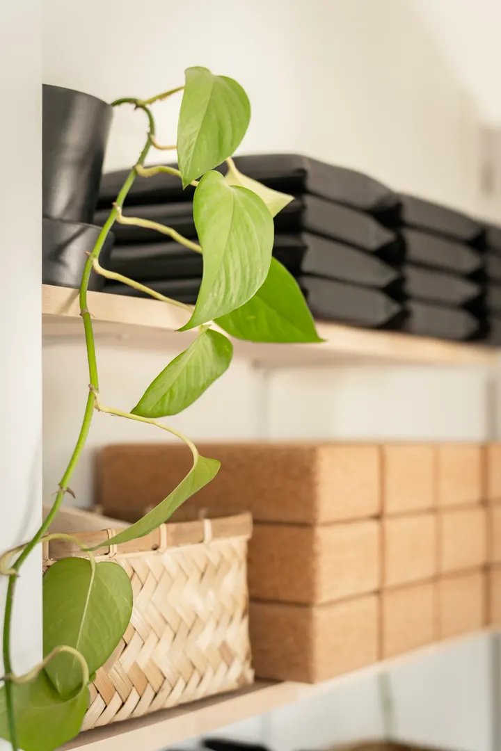 AEQUIS Et — yoga-studio à Rennes — 4