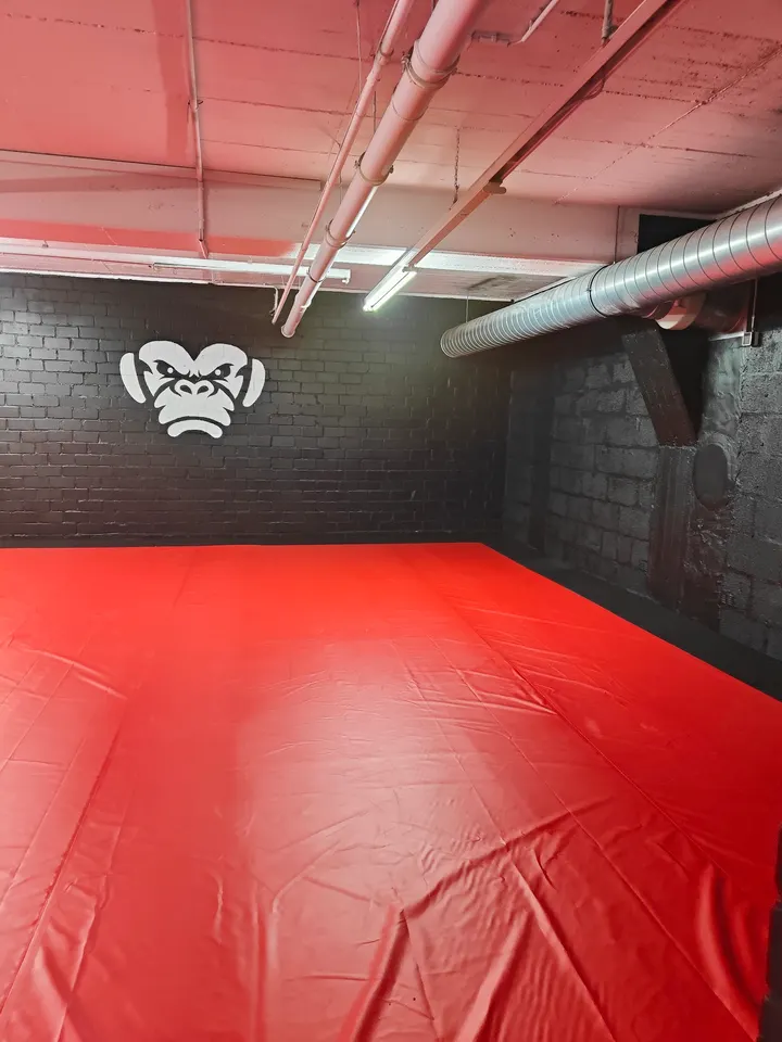 Chimp Gym Brazilian Jiu Jitsu — kampfsport-studio in Stadtmitte, Düsseldorf — 2