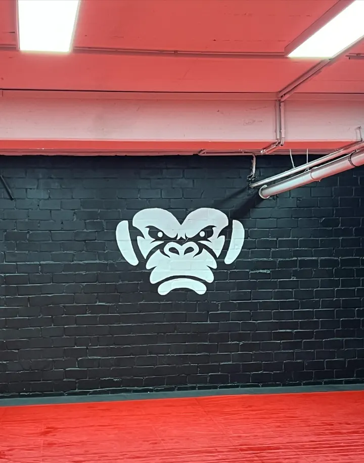 Chimp Gym Brazilian Jiu Jitsu — kampfsport-studio in Düsseldorf — 3