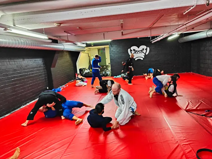 Chimp Gym Brazilian Jiu Jitsu — Kampfsport in Stadtmitte, Düsseldorf