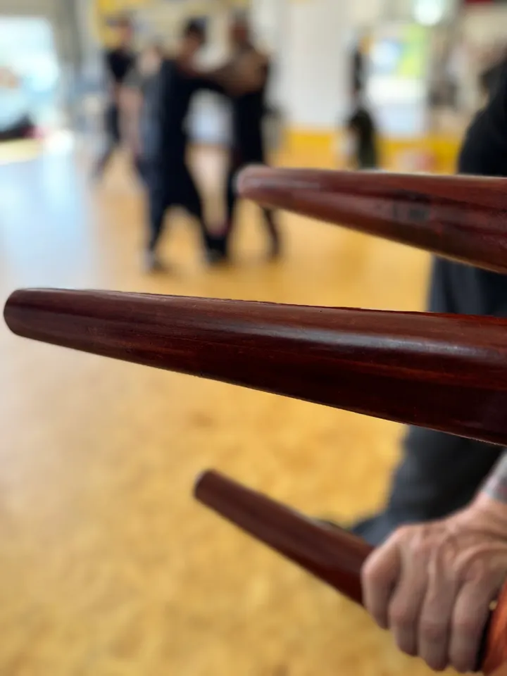 Akademie für WingChun Selbstverteidigung Kampfkunst — kampfsport-studio in Heidelberg — 3