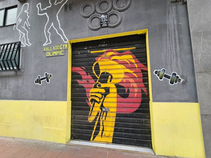 Valladogym — Estudio de fitness en Pajarillos Bajos, Valladolid