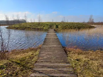 Lichtboom, meer dan yoga — yoga-studio in Hoogezand — 2