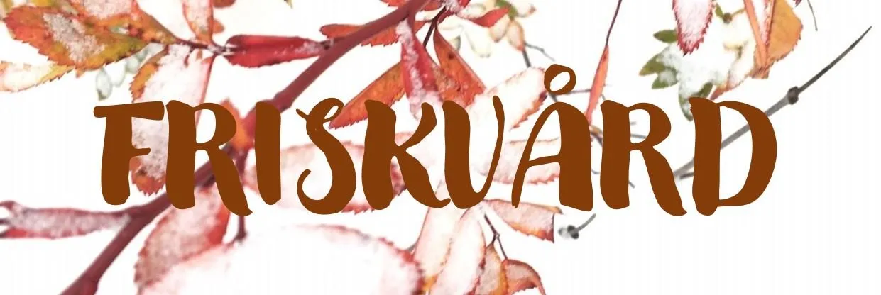 Seduction i Kärrtorp — yoga-studio i Stockholm — bild 3